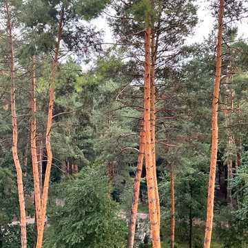 Крона парк 1 оренда затишної однокімнатної квартири.