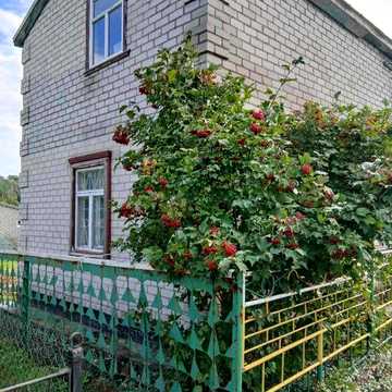 Продам будинок, Чечелеве