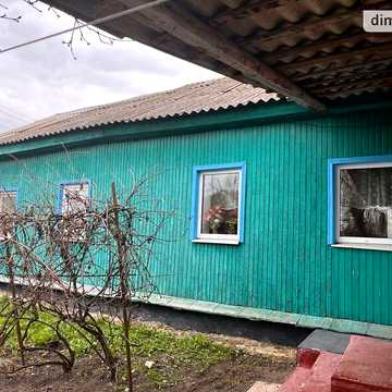 Продаж 4к Дім Світлої
