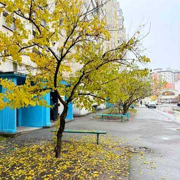 Здам в оренду 2к квартиру вул. Г. Крут