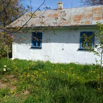 Будинок (с. Бранів)