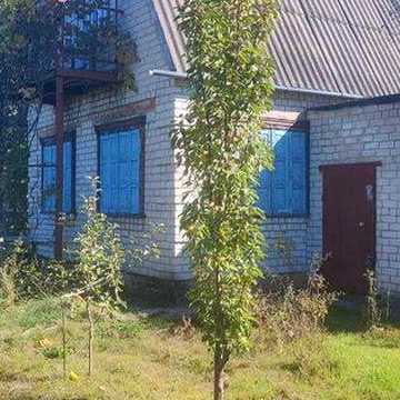 Продам дачу, кооператив «Уют», поряд з м. Олександрія (Олекандро-Степанівка)