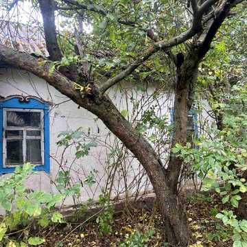 Продається житловий будинок в селі Ярославка