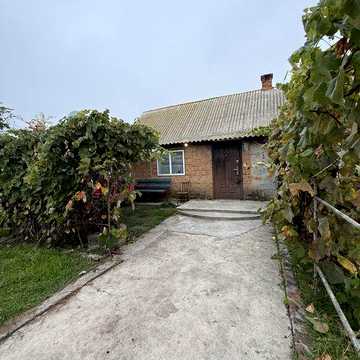 Будинок з ставком в городі