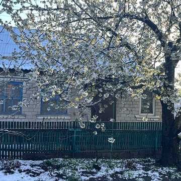 Срочно продам дім, Запоріжжя Ліве, Фасад