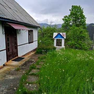 Оренда будинку в м. Путила