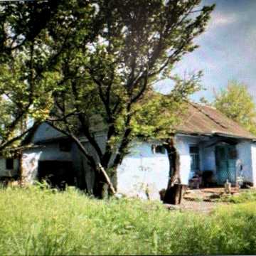 Цегляний дім / газ / криниця село Побережка, Киівська обл.