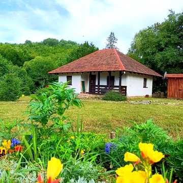 Продаж будинку на Закарпатті (для бізнесу або проживання)