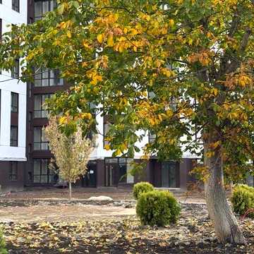 Трикімнатна квартира в центрі! Готовий будинок! ЖК Атмосфера