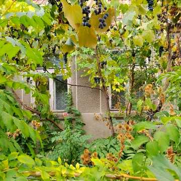 Продаж будинку в селі Великі Геївці