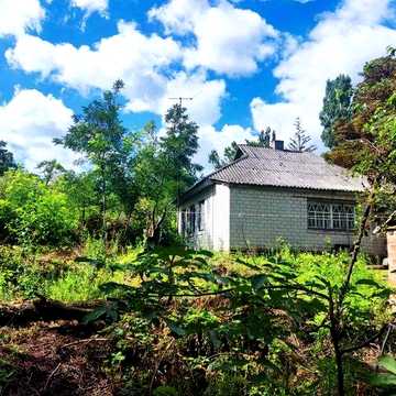 Будинок 3-ри кімнати 70 м2 село Розсошинці. 6-ть кілометрів від Чигирина (8 хвилин на авто) Пічне (парове) опалення, колонка з водою,  сарай, погріб.