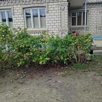 Продам будинок у селі