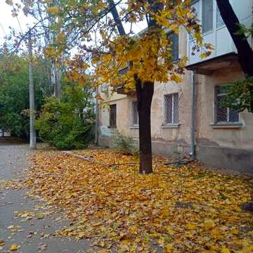 Однокімнатна квартира Ліски