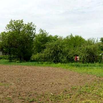 Продам сільске дворище, Полтавська область, село Олексіївка, 133 км.