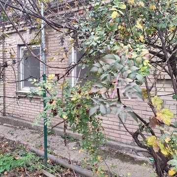 Сдаётся дом на правом берегу