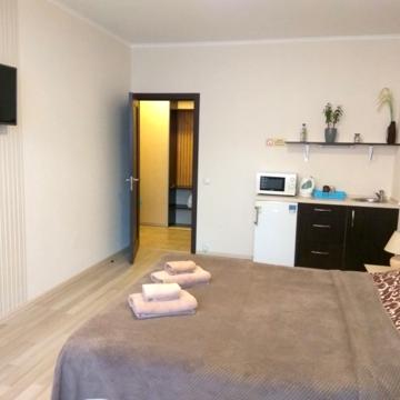 S&amp;M apartments: студио у метро Осокорки