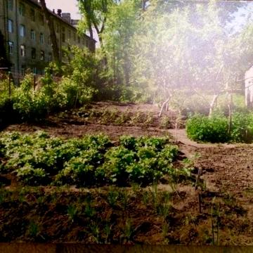 Будинок з приватизованою земельною ділянкою. Центр міста