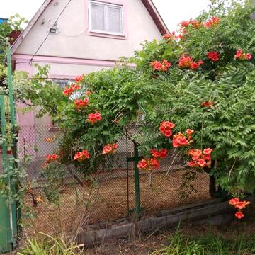 Продам  дом - дачу зимнего типа в с. Визирка
