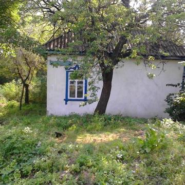 Продается дом недалеко от Днепра (с. Сушки Каневский р-н Черкас. обл.)