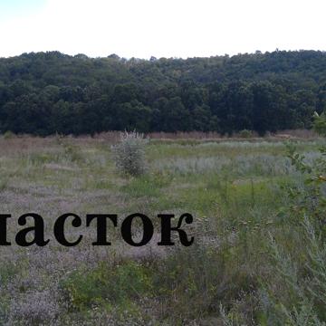 Продажа усадьбы в с. Долинское Ананьевского района Одесской области