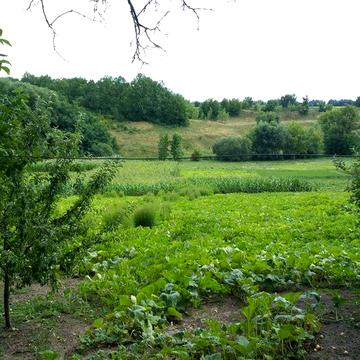 Продається будинок