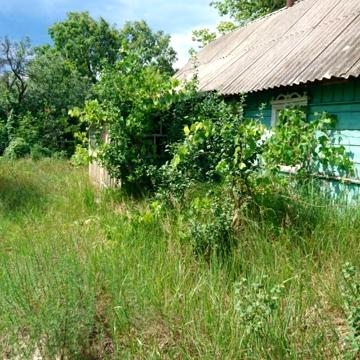Дом из деревянного бруса+(25 соток), с газом в 99 км.от Киева.