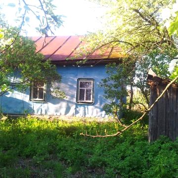 Продам дом в селе Савинка, Козелецкий р-н Черниговска .обл