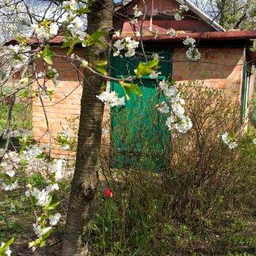 Продам дачный участок с небольшим домиком