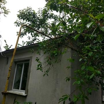 Немирів,вул.Вишнева 11,Вінницька обл