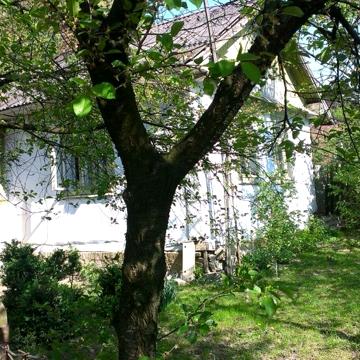 продаж будинок з земельною ділянкою