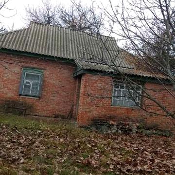Дом 50 м расположен в с. Перегоновка Полтавская область