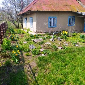 Продаю земельну ділянку із глиняним будиночком