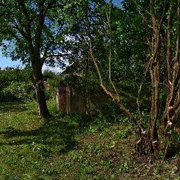 Продам дачу на Дністрі (обмін, оренда)