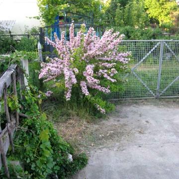 Продам дачу на берегу лимана