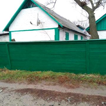Будинок Лютенька