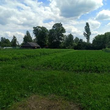Продам будинок в с.Лучичі, або землю під забудову