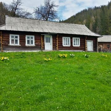 Будинок із земельною ділянкою