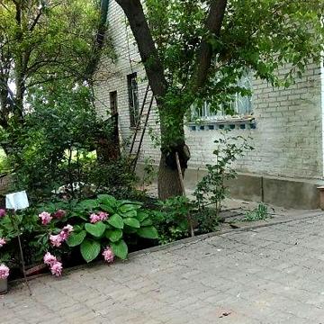 продам дом в Цибулеве