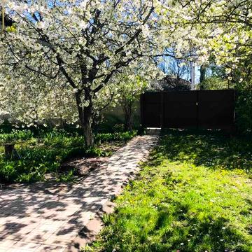 Продам власний будинок в селі Нова Басань