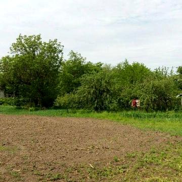 Продам сільске дворище, Полтавська область, село Олексіївка, 133 км.