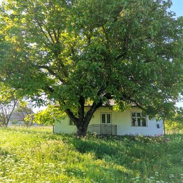 Продається будинок і земельна ділянка