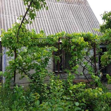 Продам дачу Есть свет и вода