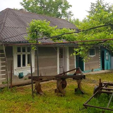 Господарство (будинки) у с.Вікно