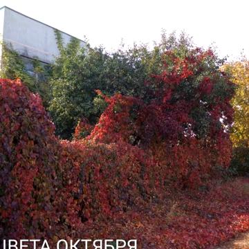 Срочно продается дом