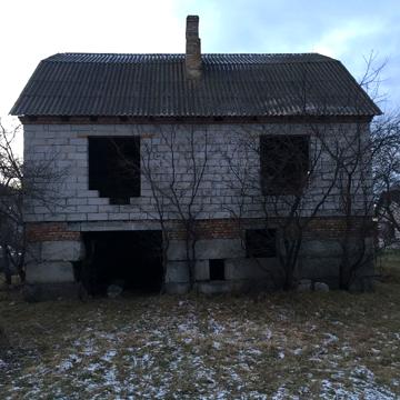 Продам будинок, Хмизи