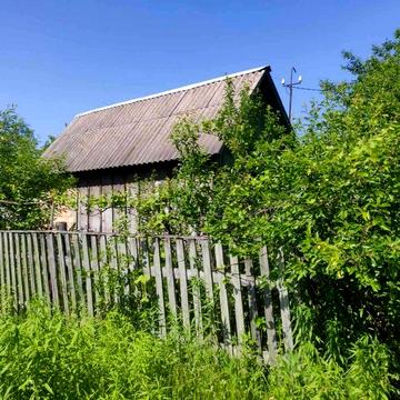 Дача в Бородянському районі, с. Галинка