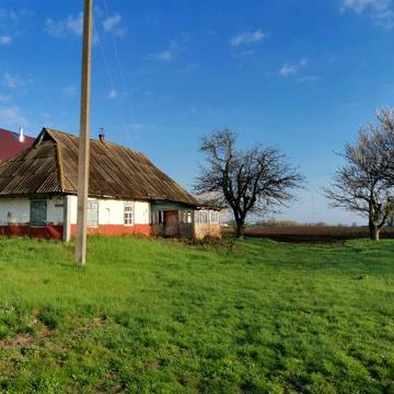 Продам земляний участок зі старим будинком під знесення, 25 соток