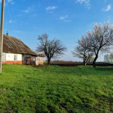 Продам земляний участок зі старим будинком під знесення, 25 соток