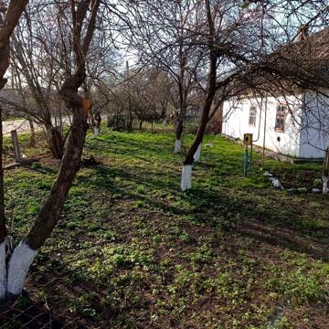 Продам будинок в селі Могиляни