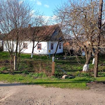 Продам будинок в селі Могиляни